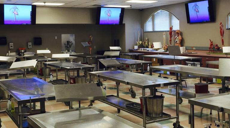 Human anatomy lab.