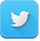 Twitter Icon